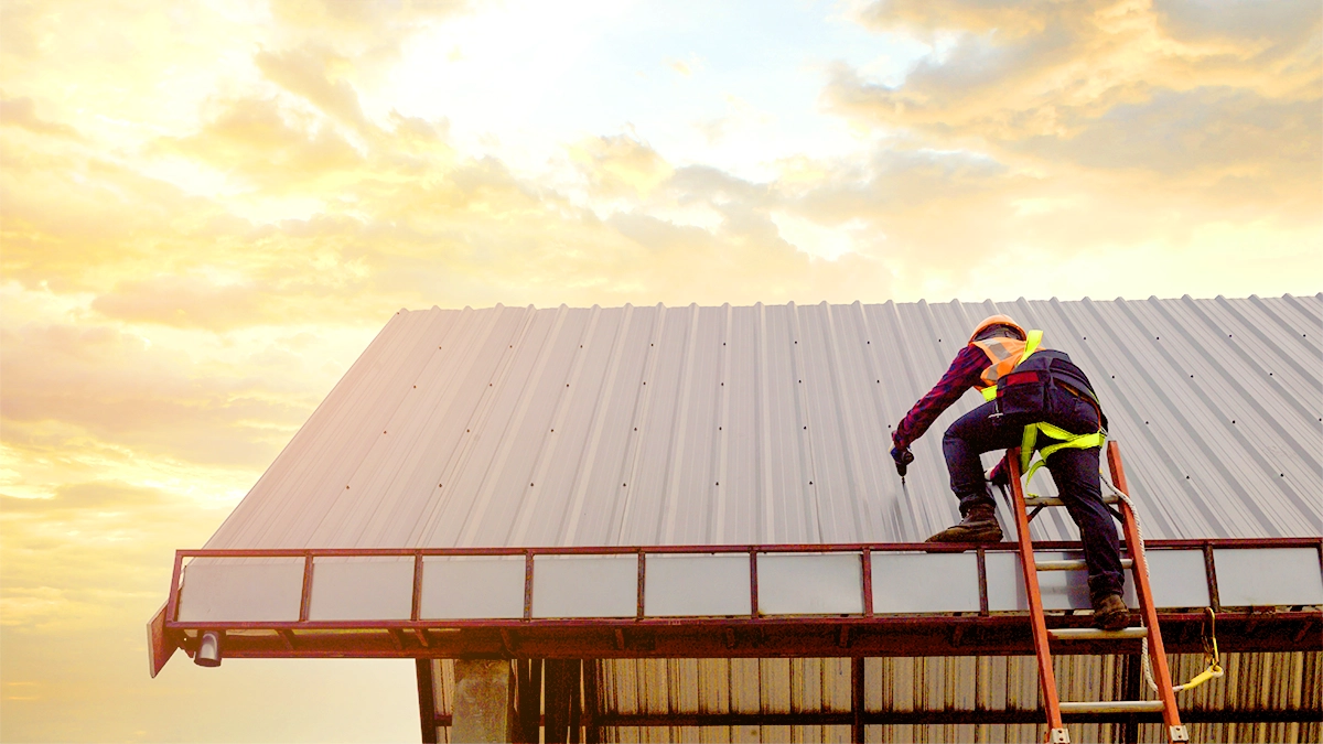 Roof Maintenance